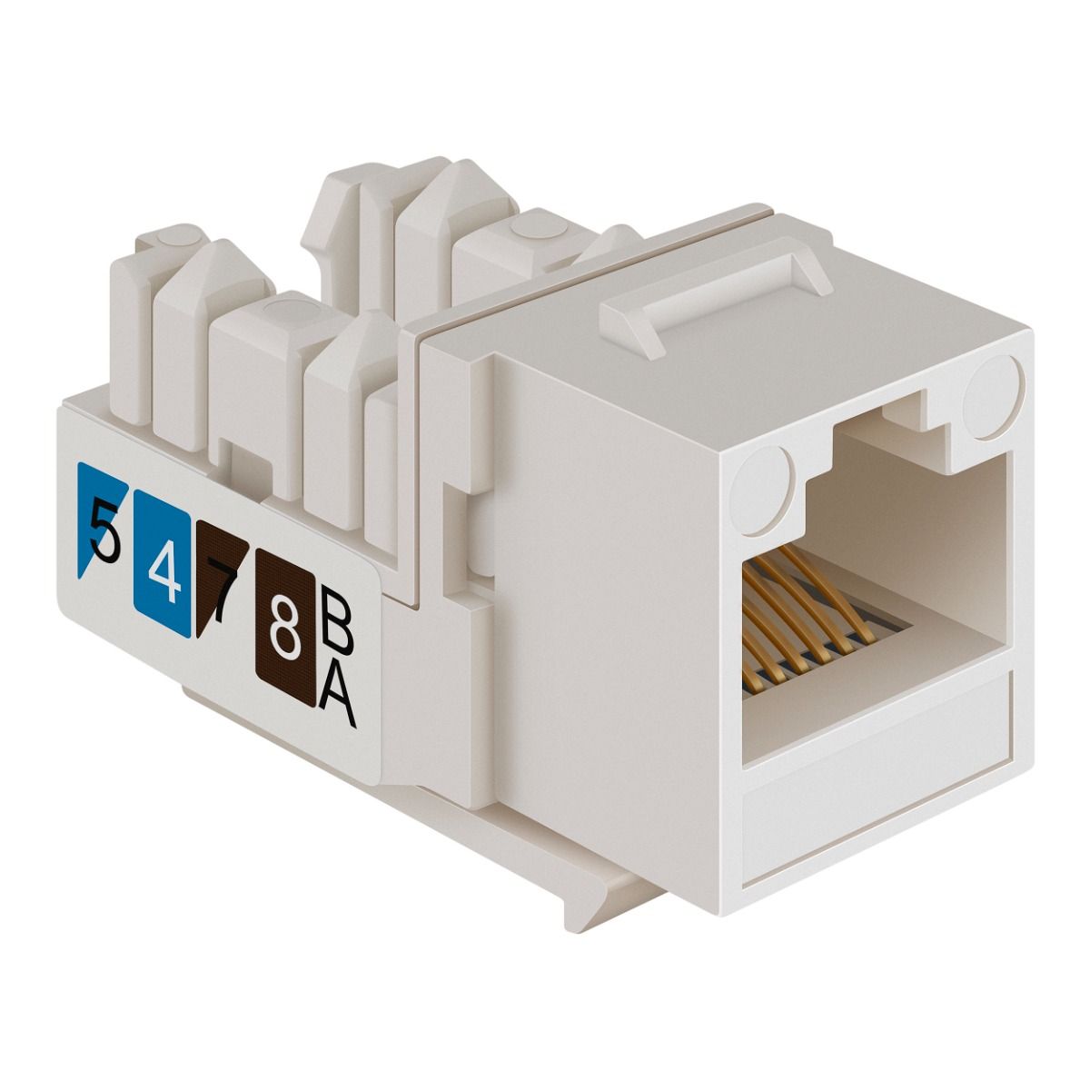nodel design 38灯 JACK Jack RJ45 de 8 contactos a 90° CAT 6A, tipo Keystone St