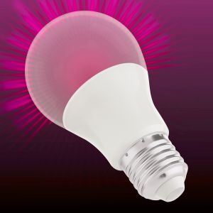 Bombillo LED UV decorativo